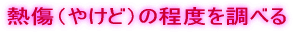 熱傷(やけど)の程度を調べる